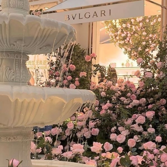 Welcome to my closet! - Picture 1 of 1